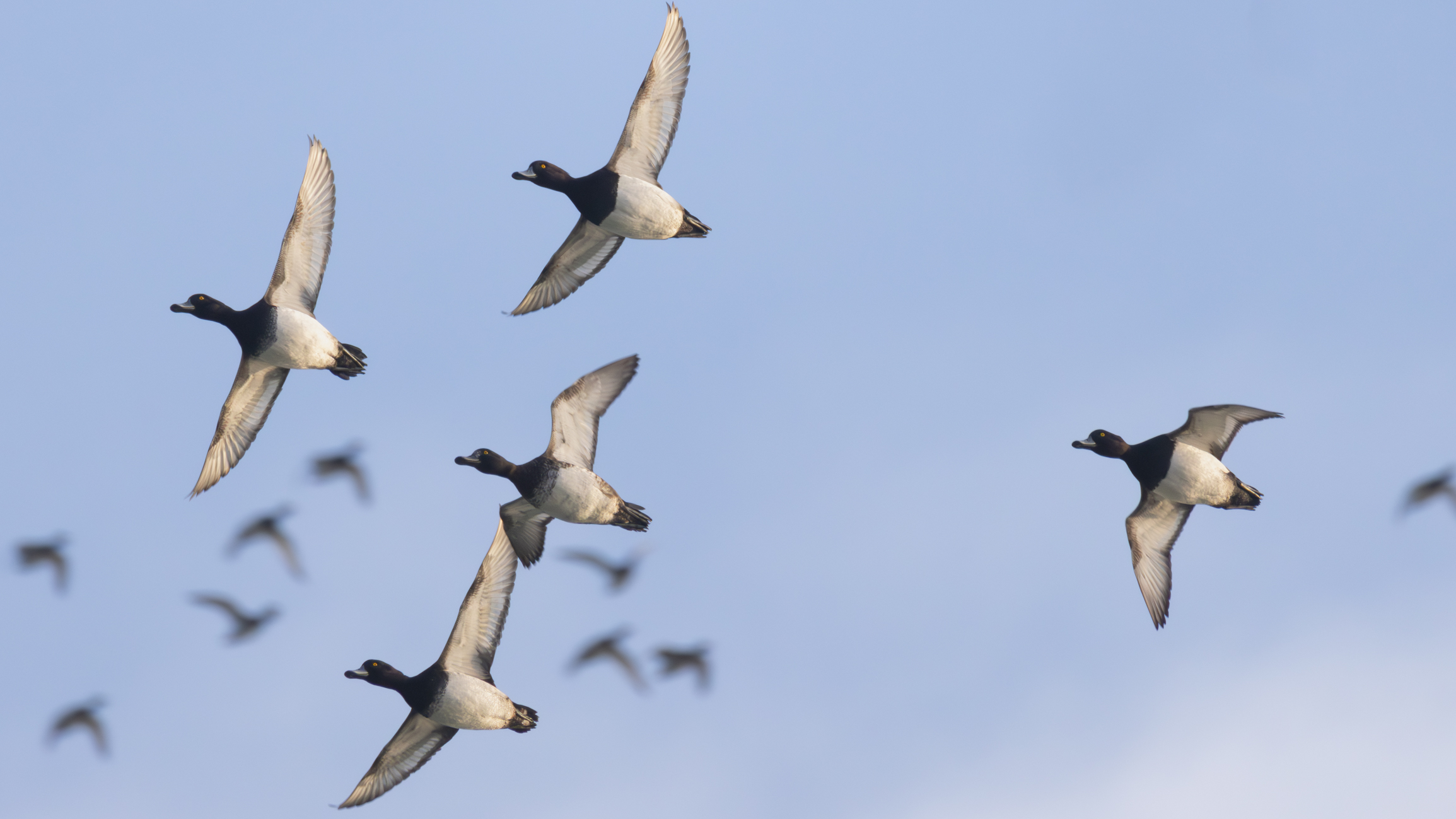 _MG_6838-Enhanced-NR