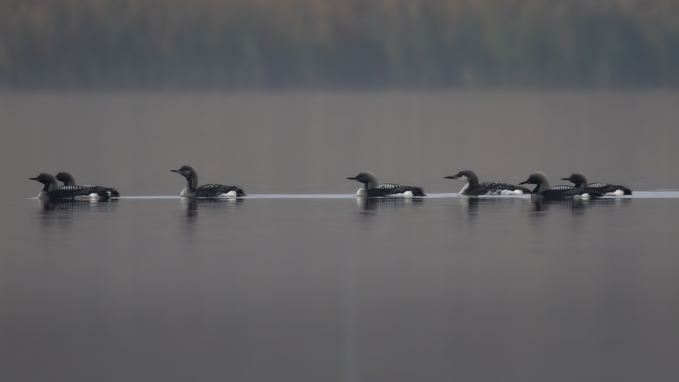 _MG_9158-Enhanced-NR-2